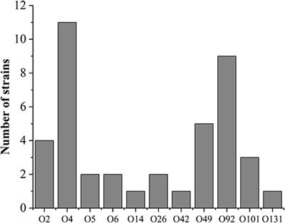 Resistance Detection and Transmission Risk Analysis of Pig-Derived Pathogenic Escherichia coli in East China